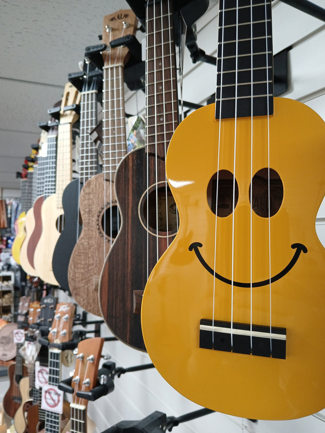 Why Music Bits Has Become Known as the Eastern Ukulele Store