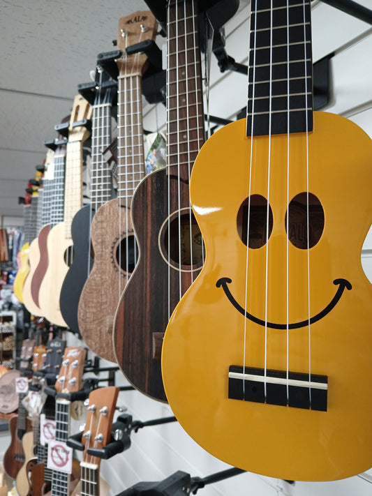 Why Music Bits Has Become Known as the Eastern Ukulele Store