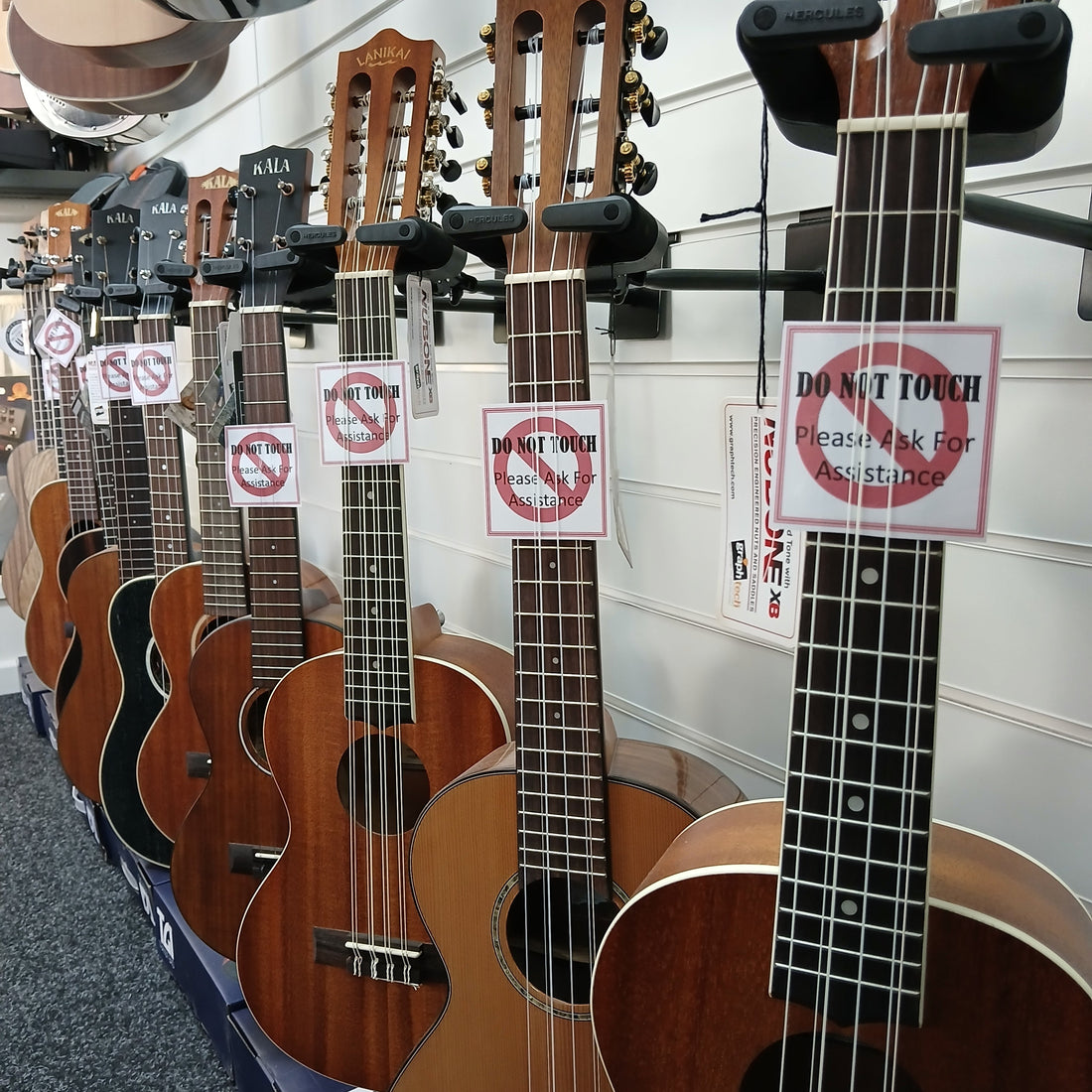 Is the Ukulele Getting Bigger? The Changing Appeal of Soprano, Concert, Tenor, Baritone and Bass