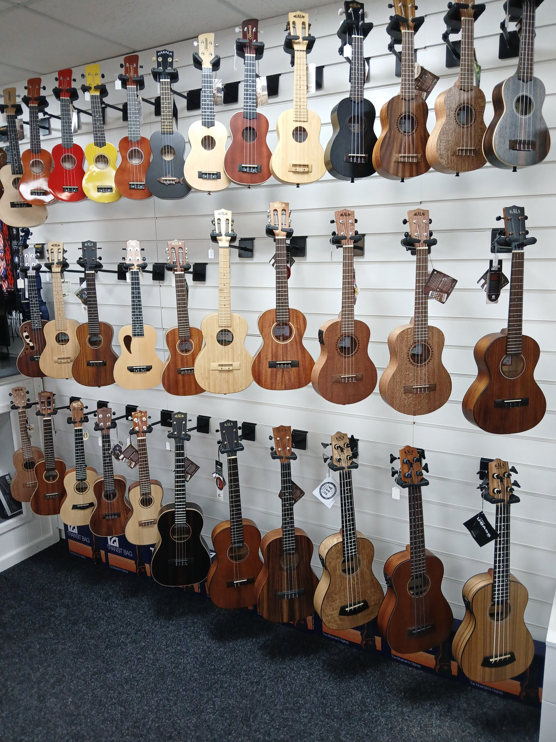 Different sizes of ukuleles including soprano, concert, tenor and baritone models