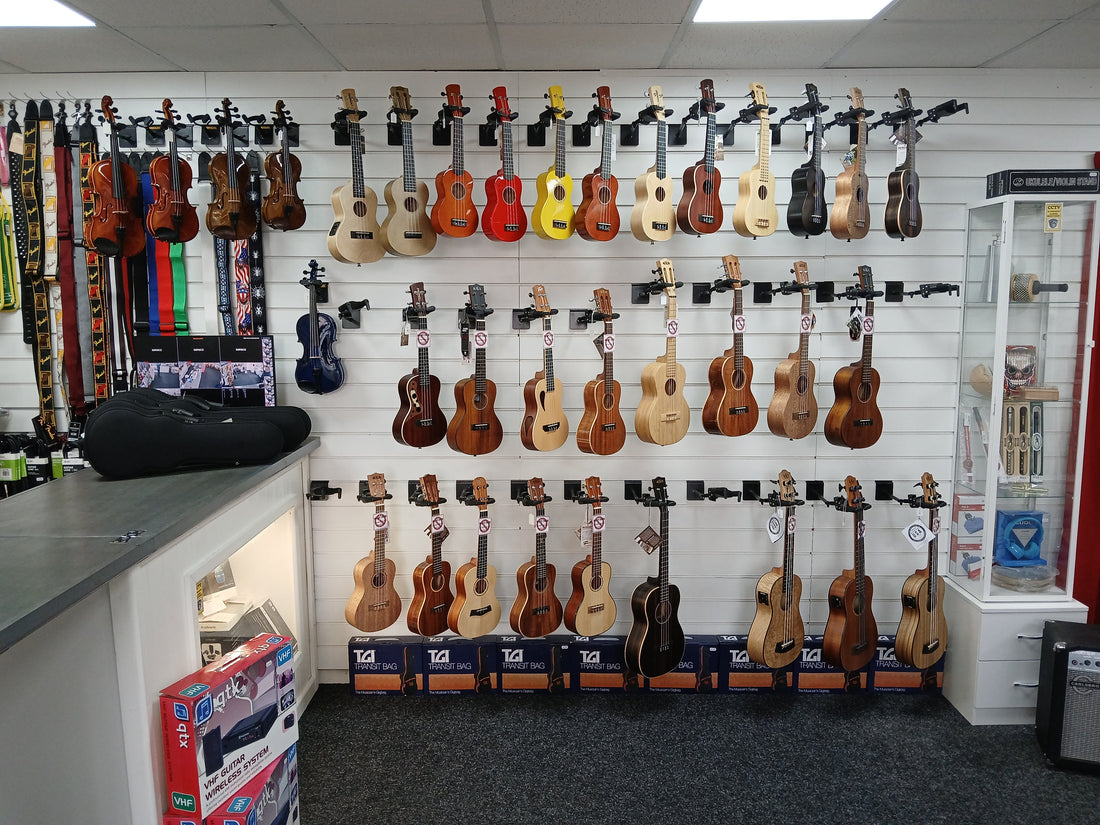 A Virtual Tour of Music Bits