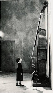 Octobass - the rare cousin of the violin family
