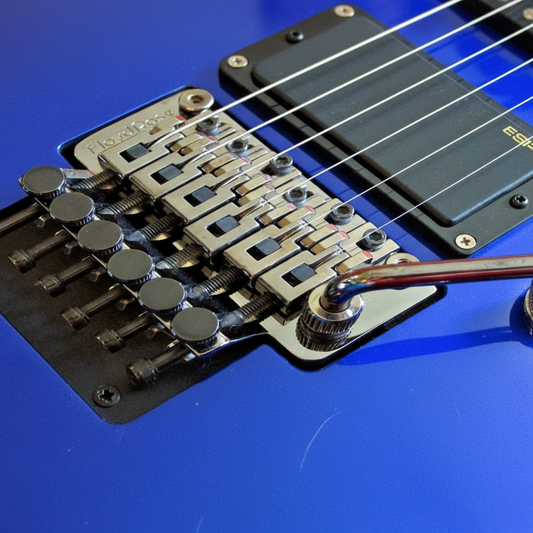 The Commitment: What Nobody Tells You About Owning a Floyd Rose Guitar
