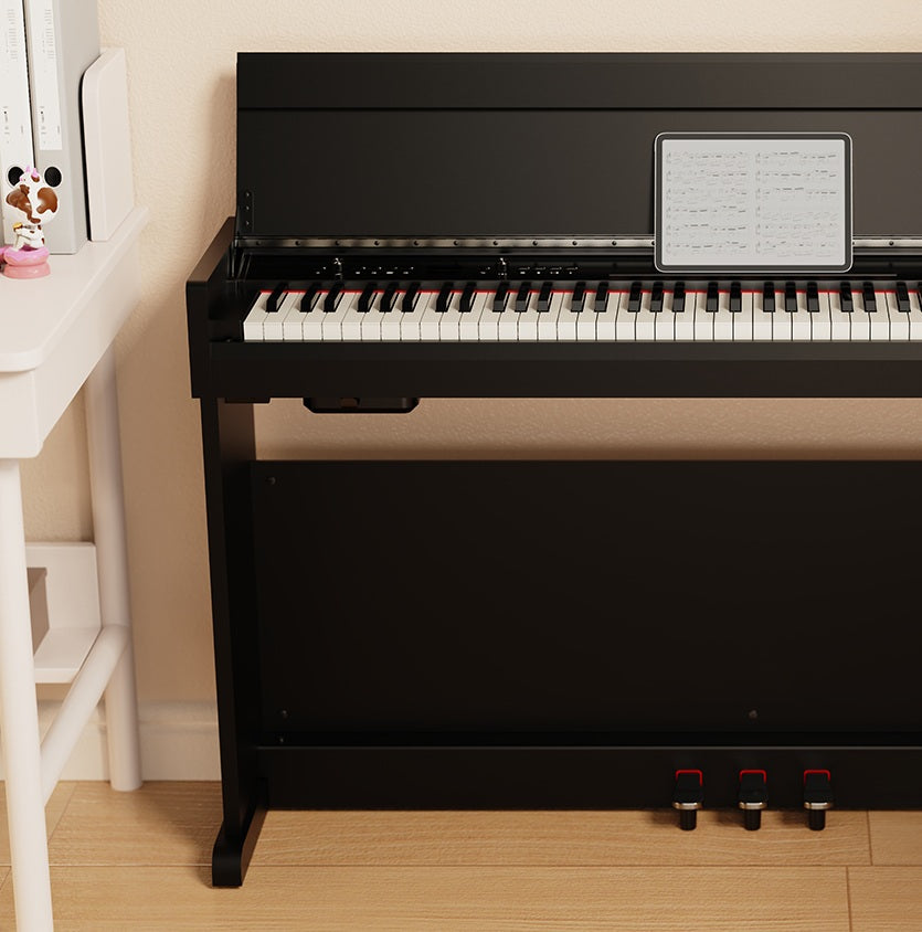 Keyboards & Pianos