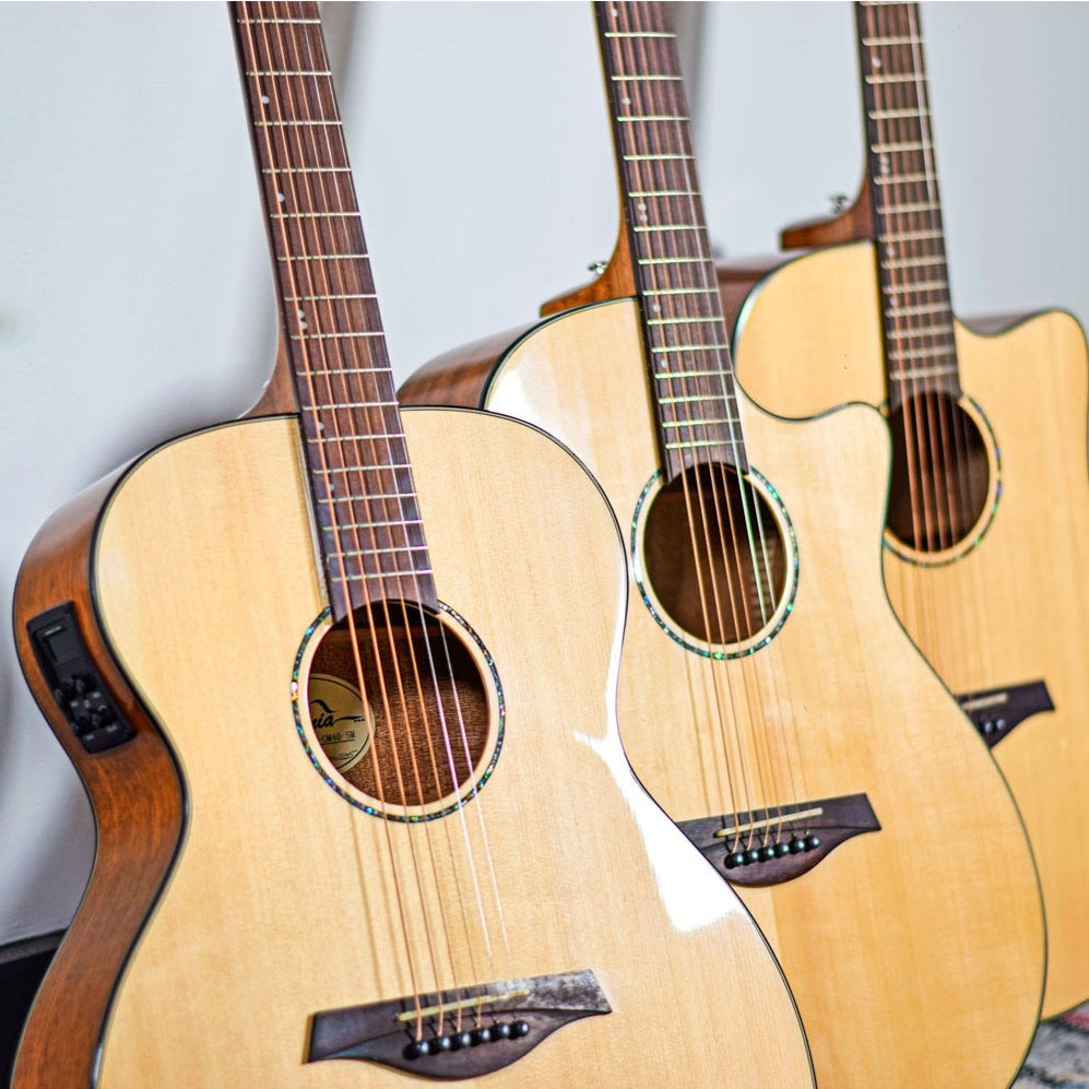 Acoustic Guitars