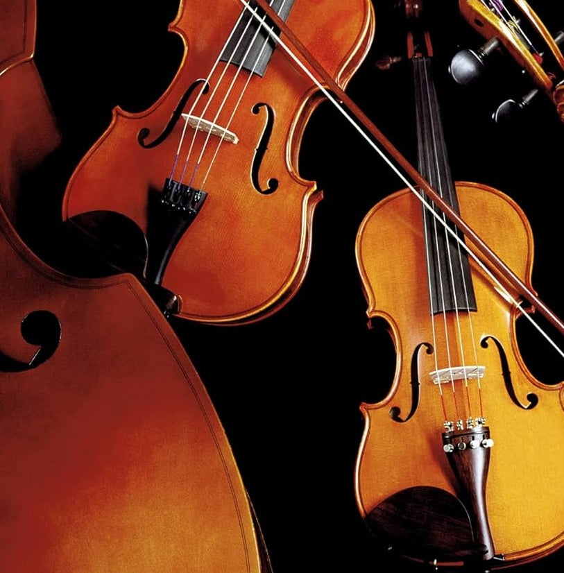 Books: Orchestral Strings