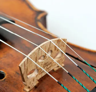 Violin Strings