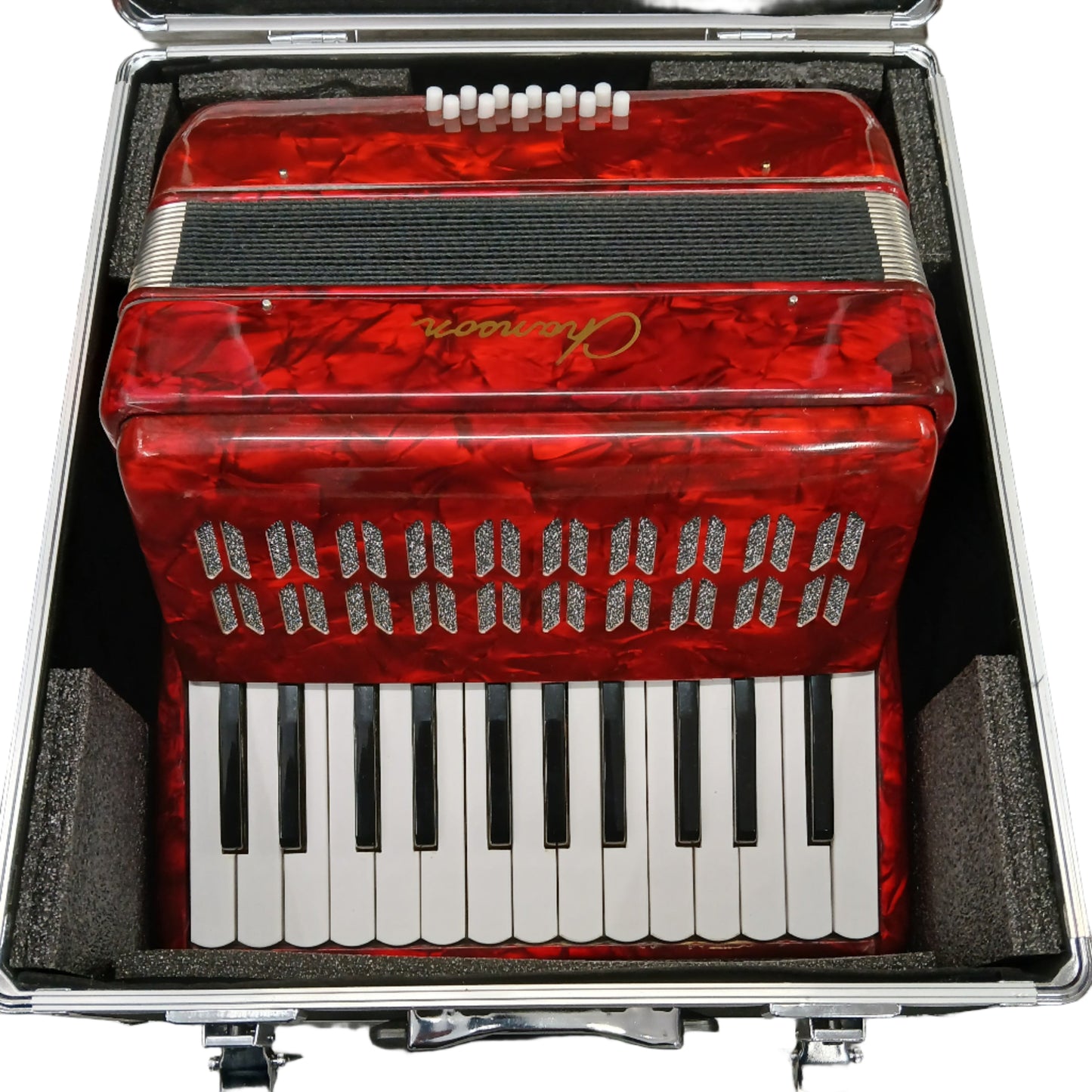 Chanson Piano Accordion 12 Bass 25 Note With Hard Case