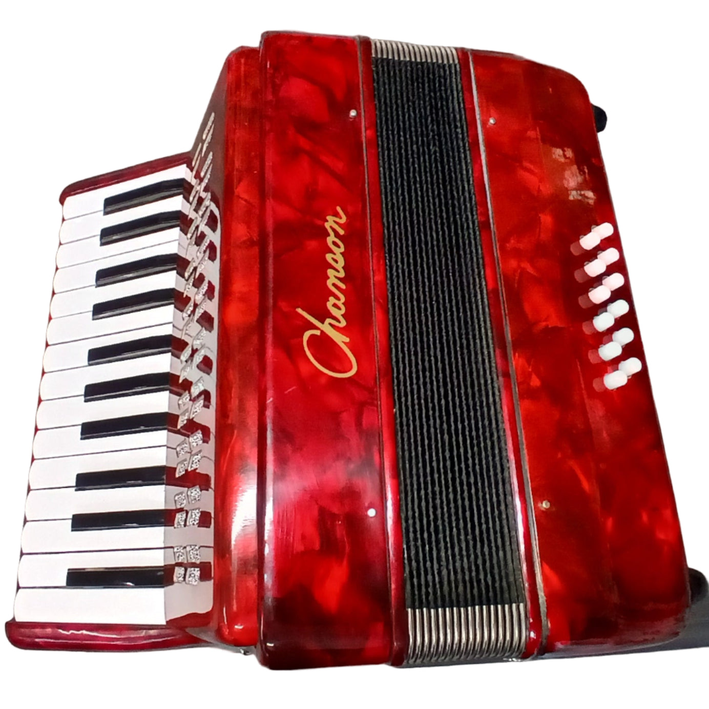 Chanson Piano Accordion 12 Bass 25 Note With Hard Case