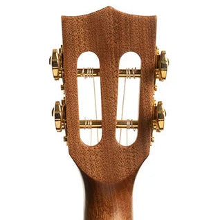 Kala Solid Cedar Top Pau Ferro Tenor Ukulele KA-ASCP-T