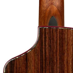 Kala Brand Contour Deluxe Spruce Rosewood Tenor Ukulele KA-CTD-SSRW-TG-C