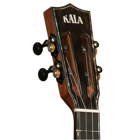 Kala Brand Contour Deluxe Solid Gloss Spruce Rosewood Tenor Ukulele