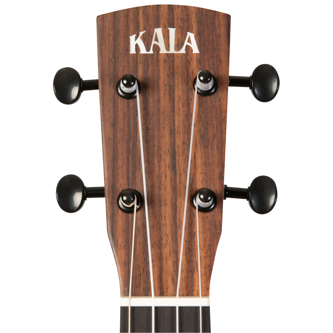 Kala Brand Revelator Night Owl Acacia Tenor Ukulele KA-OWL-ACA-TE