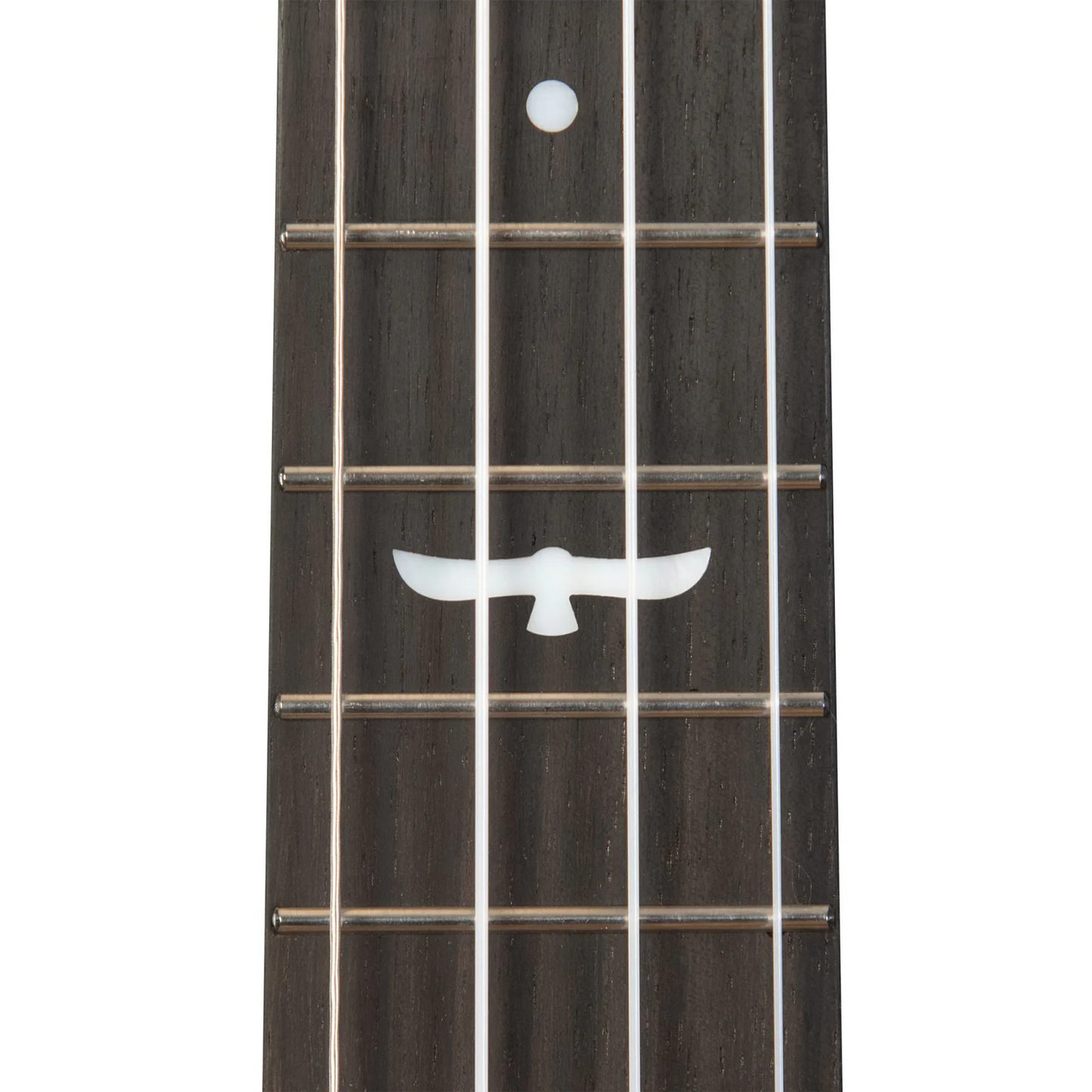 Kala Brand Revelator Night Owl Acacia Tenor Ukulele KA-OWL-ACA-TE