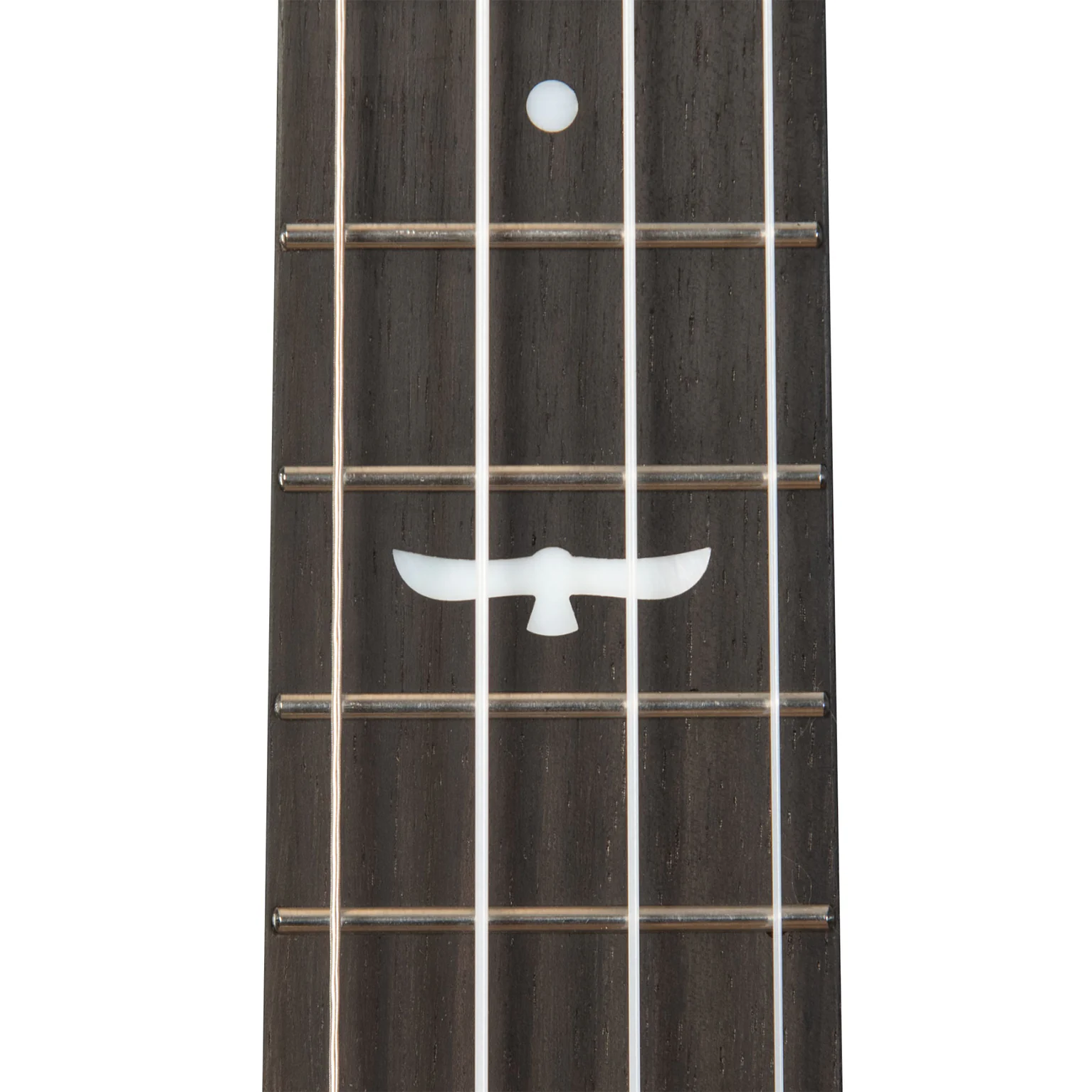 Kala Brand Revelator Night Owl Acacia Tenor Ukulele KA-OWL-ACA-TE