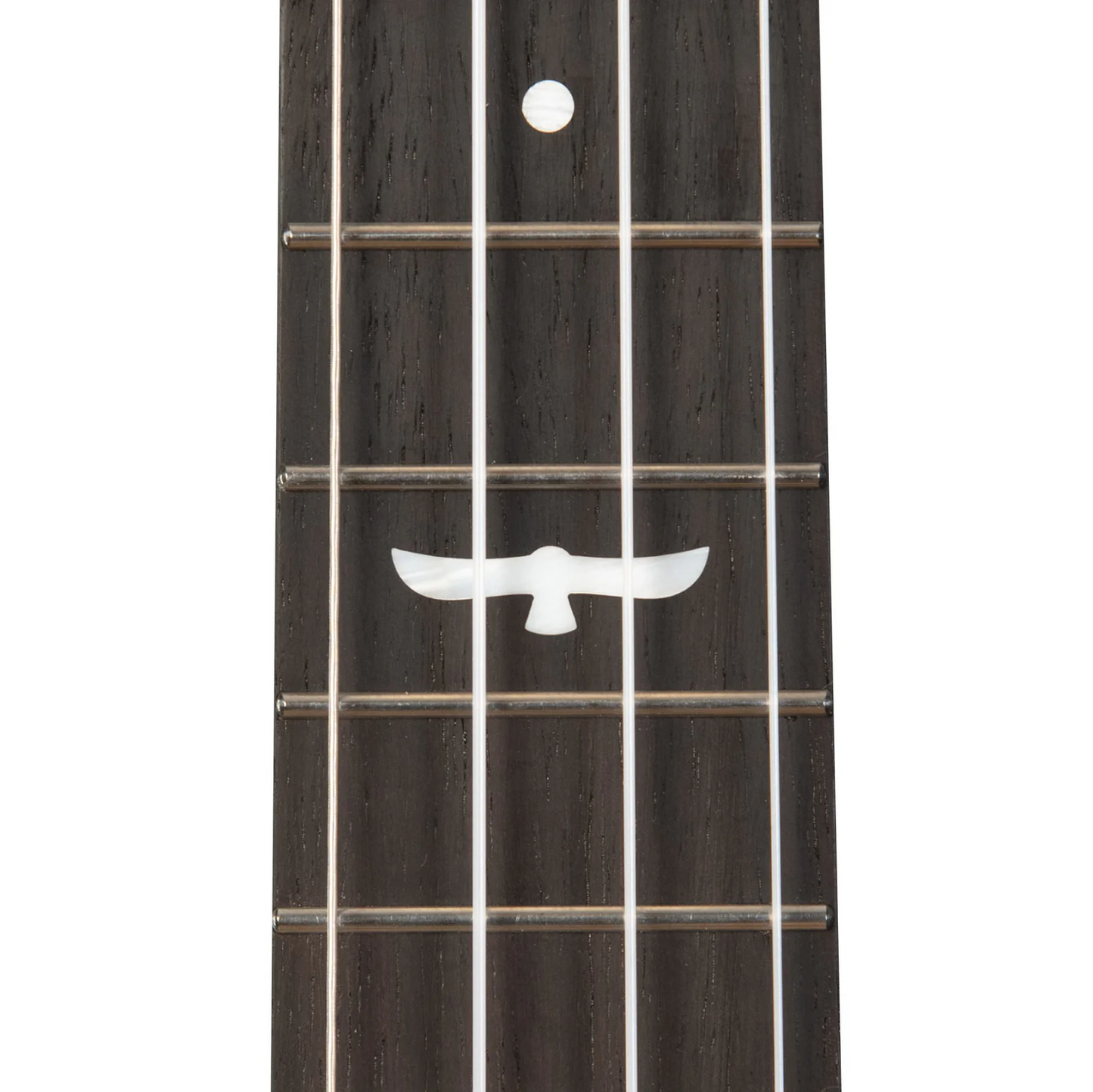 Kala Brand Revelator Night Owl Mango Tenor Ukulele KA-OWL-MNG-TE