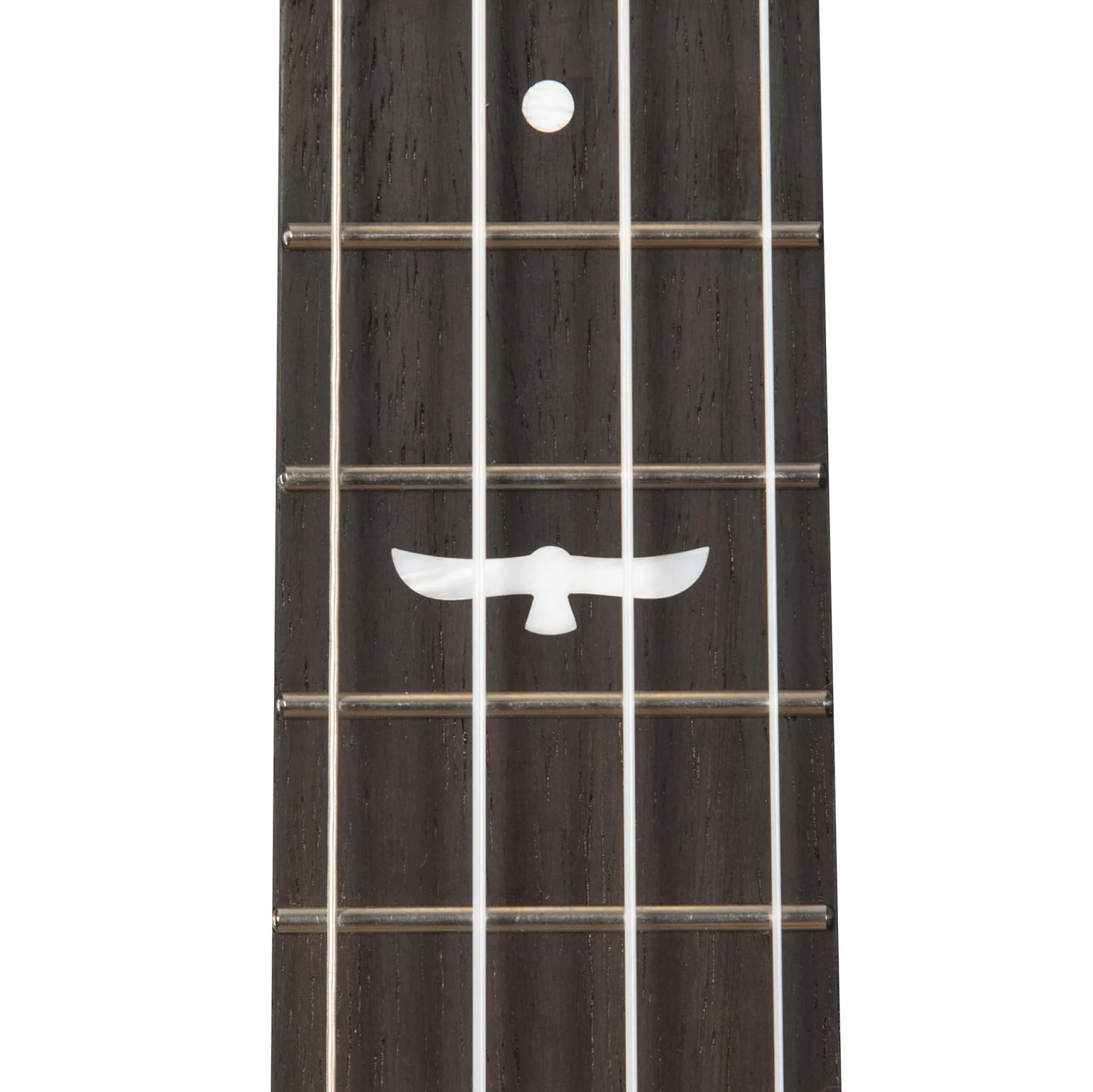 Kala Brand Revelator Night Owl Mango Tenor Ukulele KA-OWL-MNG-TE
