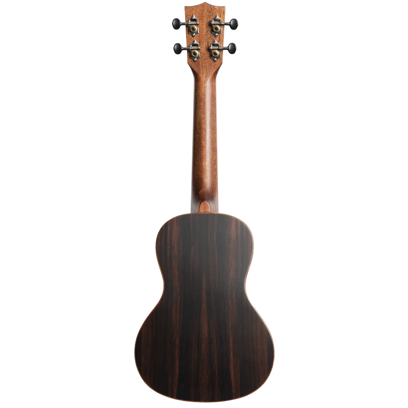 Kala Brand Solid Spruce Top Striped Ebony Concert Ukulele