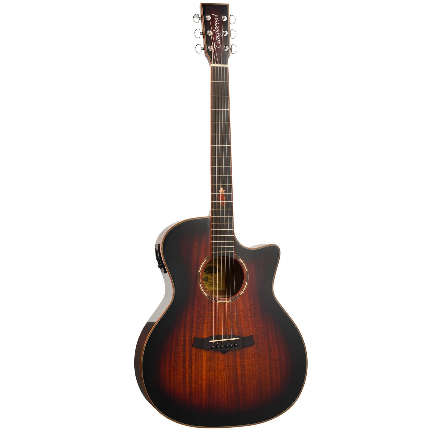 Tanglewood Winterleaf Exotic Electro Acoustic Guitar TWX6CEK
