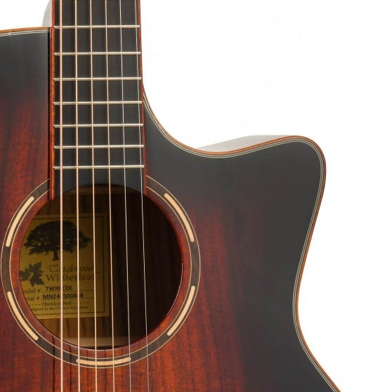 Tanglewood Winterleaf Exotic Electro Acoustic Guitar TWX6CEK
