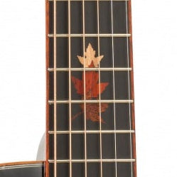 Tanglewood Winterleaf Exotic Electro Acoustic Guitar TWX6CEK