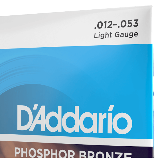 D'Addario Phosphor Bronze Acoustic Guitar Strings 12-53 Light EJ16