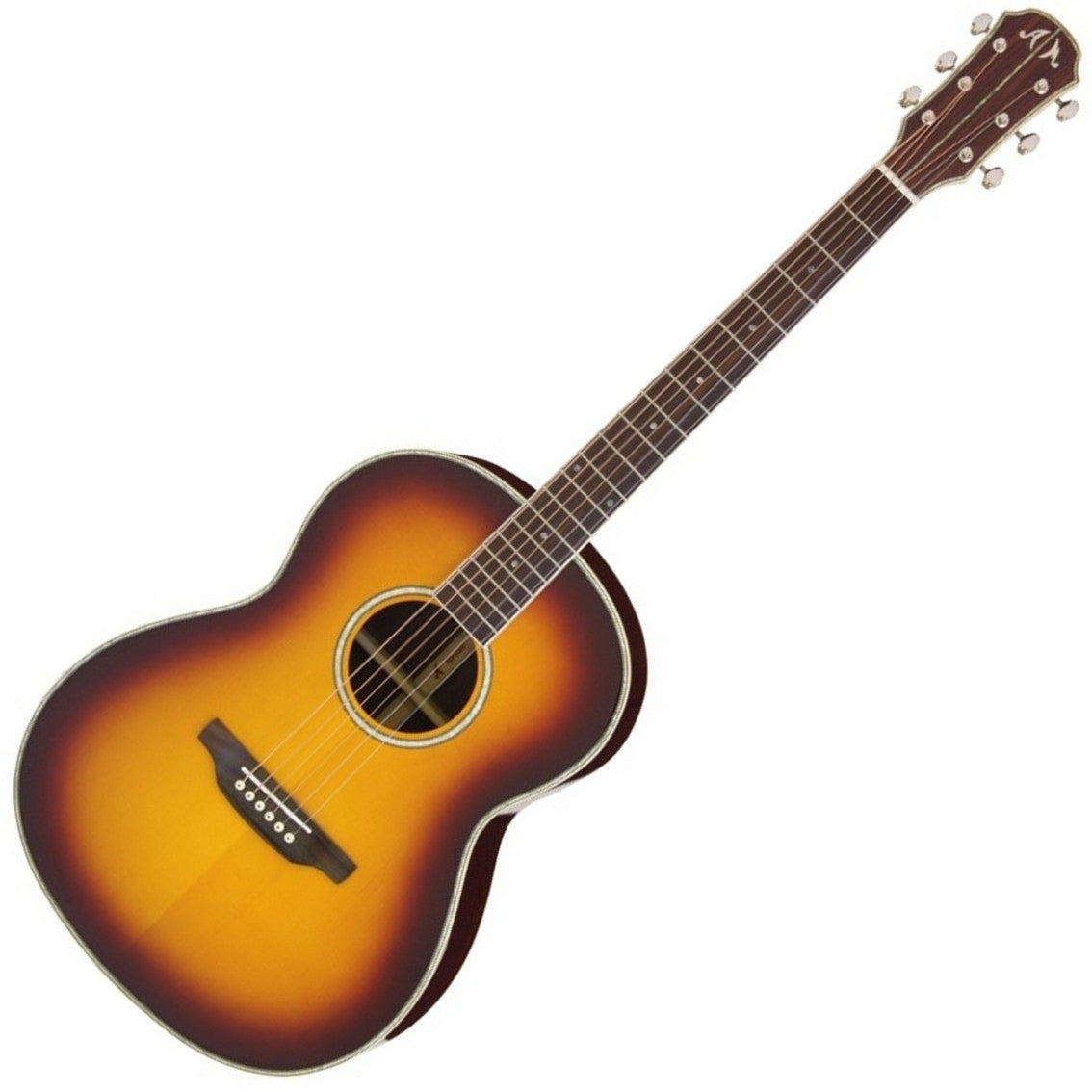 Aria Meister Series Acoustic Guitar Sunburst MSG-02