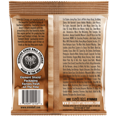 Ernie Ball Earthwood Phosphor Bronze Acoustic Guitar String Set 12-54