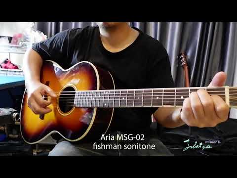 Aria Meister Series Acoustic Guitar Sunburst MSG-02