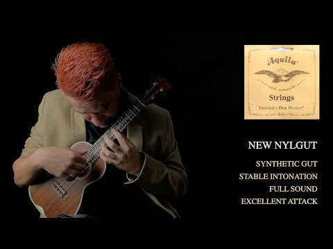 Aquila Nylgut Soprano Ukulele Standard High G String Set  - 4U