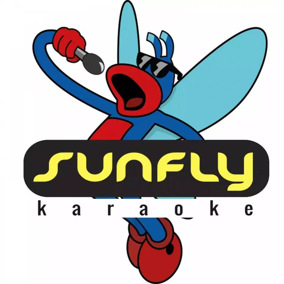 Sunfly Karaoke CDG Most Wanted Volume 836 CD+G Disc 15 Backing Tracks