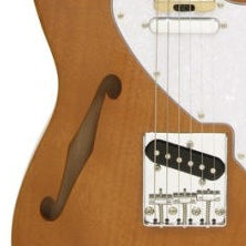 Aria Pro II Electric Guitar With F-Hole TEG-TL-N