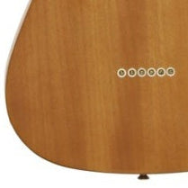 Aria Pro II Electric Guitar With F-Hole TEG-TL-N